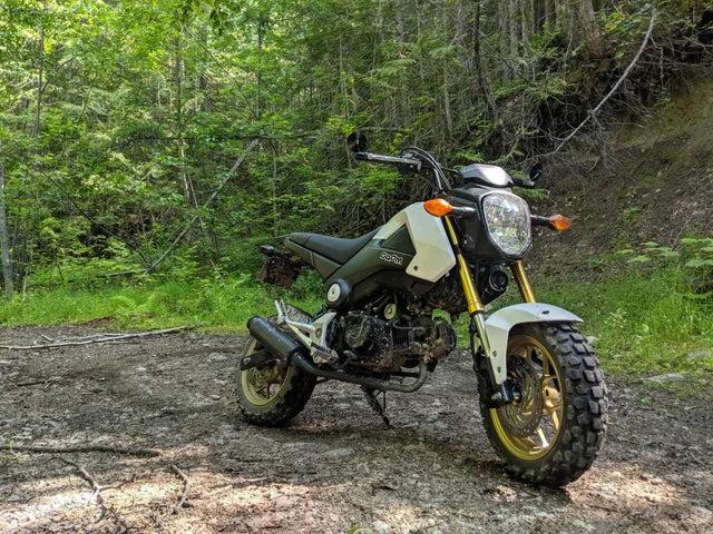 Grom Riding Conquer the Trails with the Offroad Honda Grom: A Thrill-Ride Like No ...