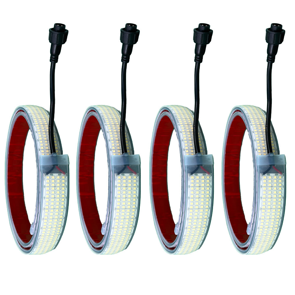 White LED Portal Lights Quad Row High Density